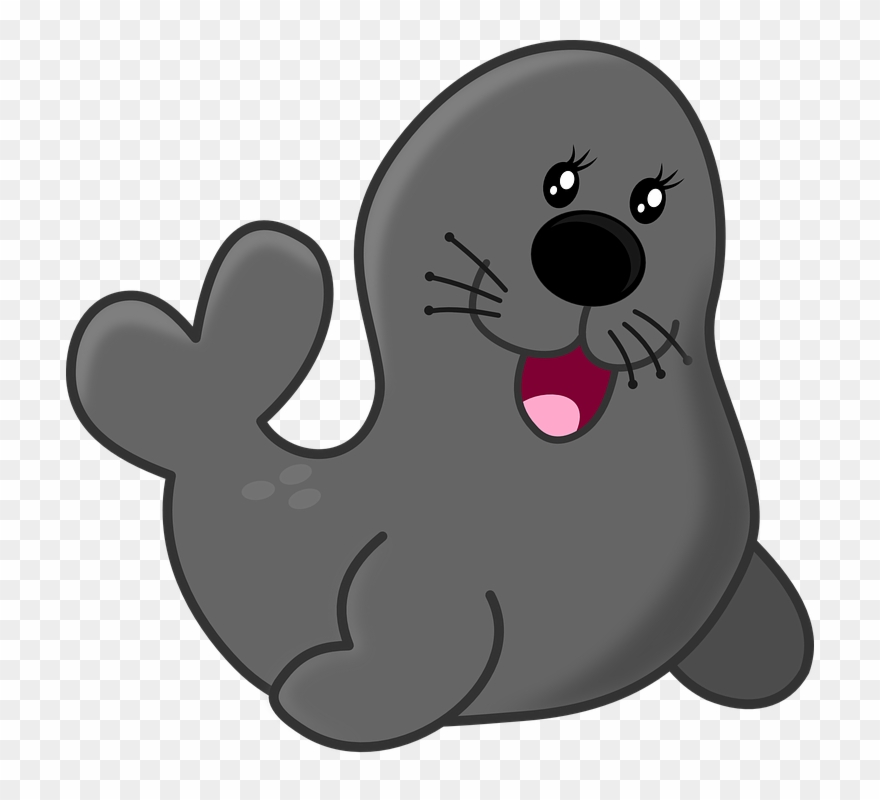 Baby Seal Shower Curtain Clipart