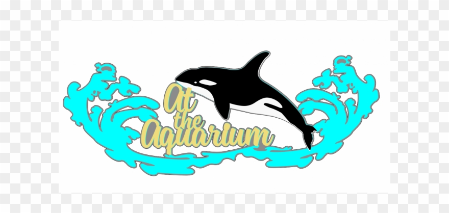 At The Aquarium - Killer Whale Clip Art - Png Download