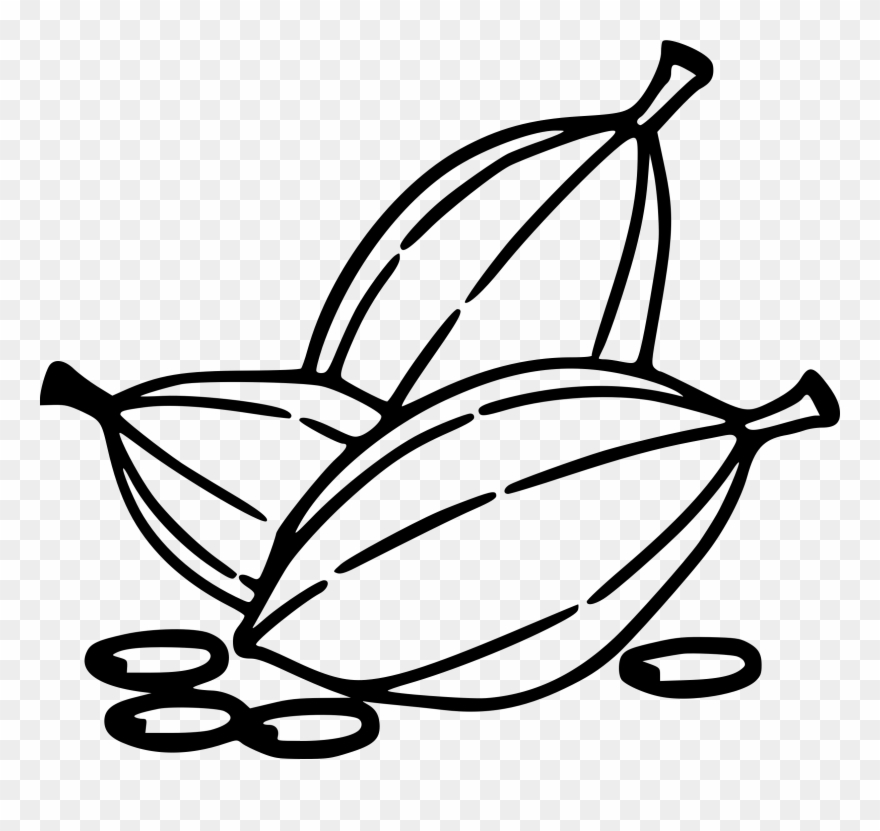 Clip Art Royalty Free Clipart Cocoa Beans Big - Cacao Vector Black And White - Png Download