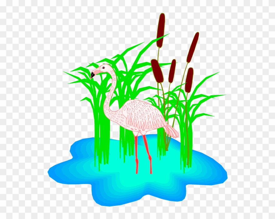 Free Flamingo Clipart - Flamingo In The Pond Clipart - Png Download
