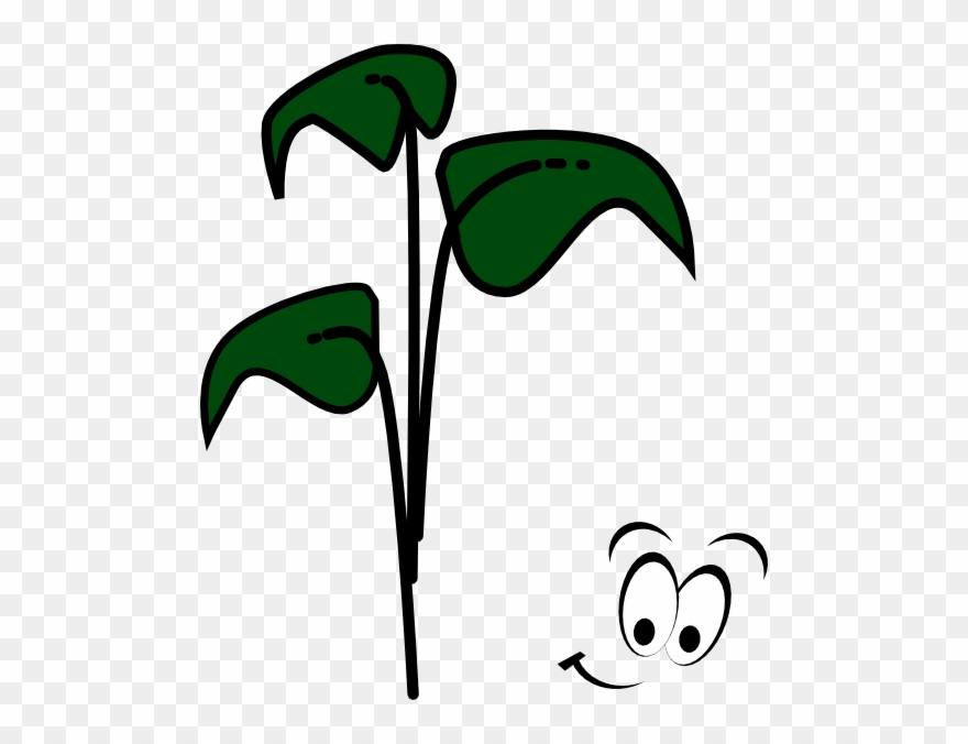 Bean Character Art At - You Are A Seed In A God Garden Clipart