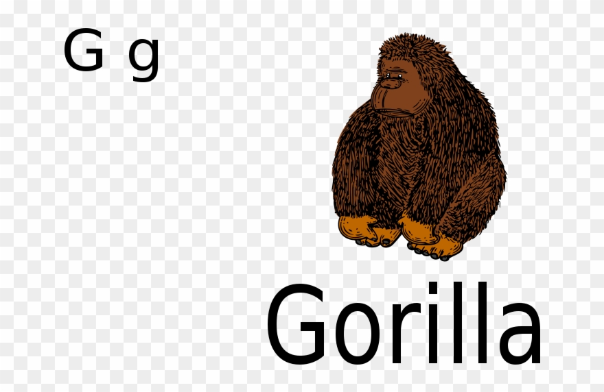 Free G For Gorilla - Gorilla Clip Art - Png Download