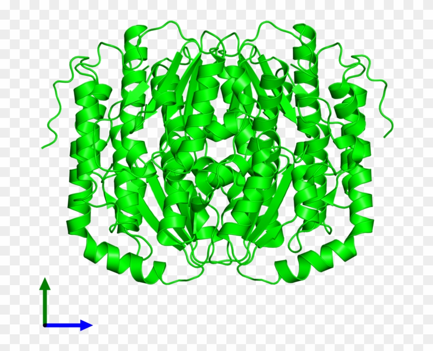 Dimeric Assembly 1 Of Pdb Entry 3c3j Coloured By Chemically - Molecule Clipart