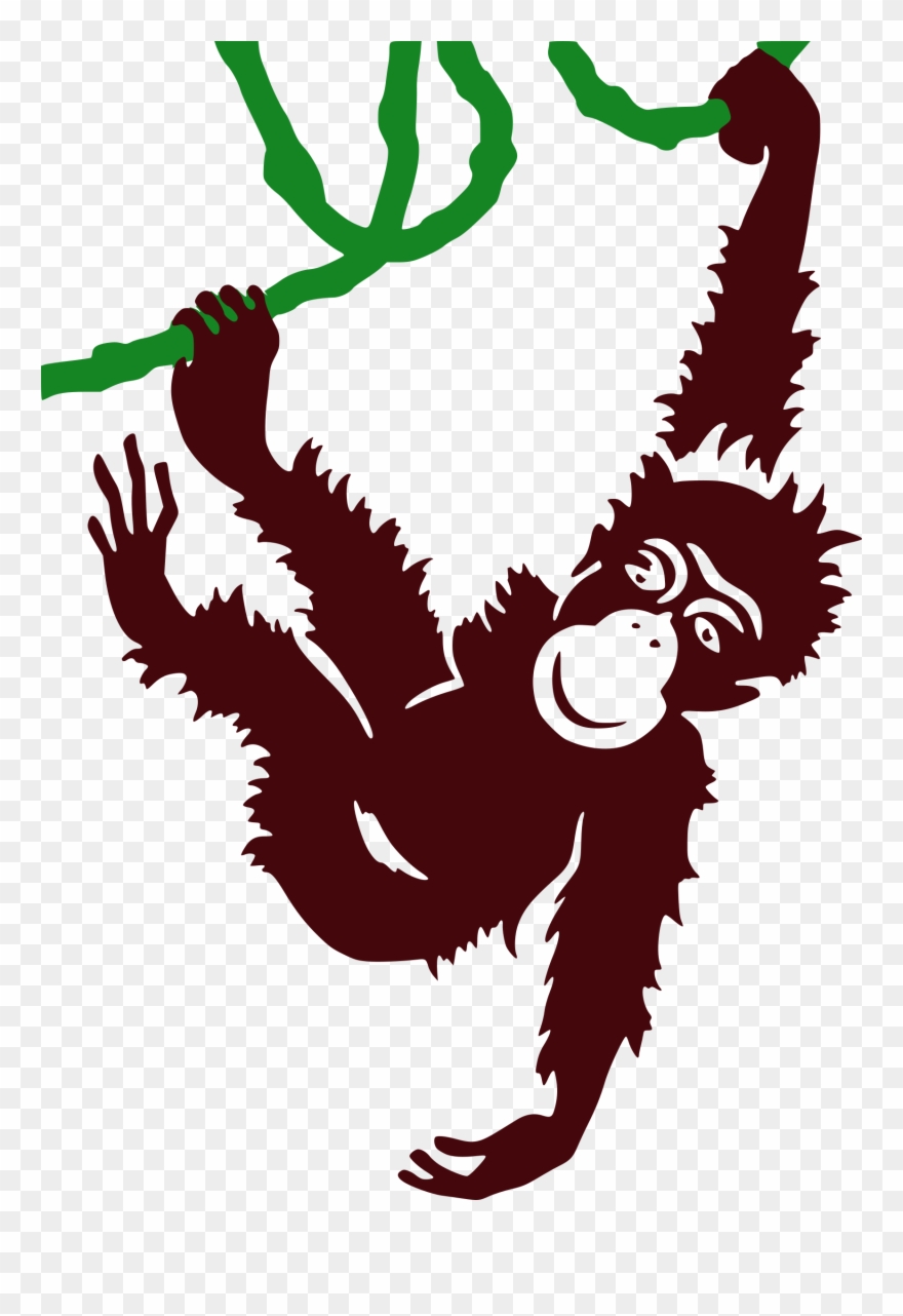 Vector Transparent Stock Ape Clipart Jungle Gorilla - Who's Who In The Zoo - Png Download