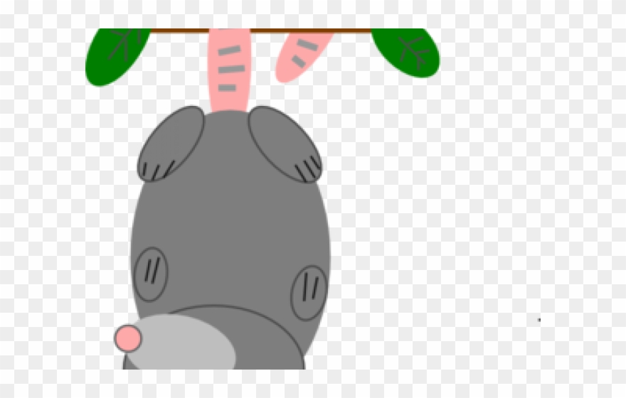 Opossum Clipart Transparent - Cartoon Possum - Png Download