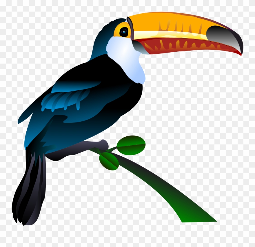 Clip Art Freeuse Library Bill Clipart Bird - Tucano Png Transparent Png