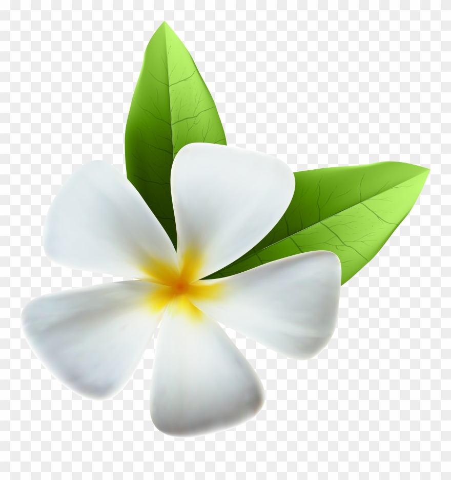 View Full Size Clipart