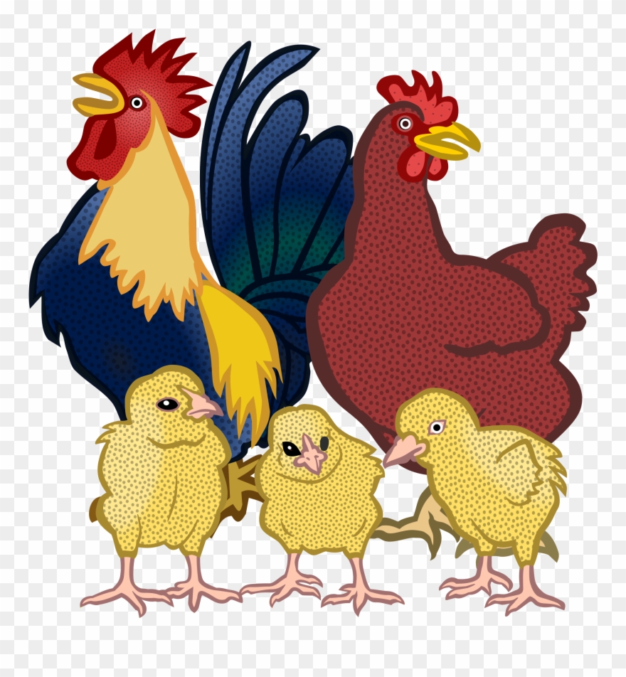 Clipart Chicken Real 4 - Sunday Have A Nice Day Good Morning - Png Download