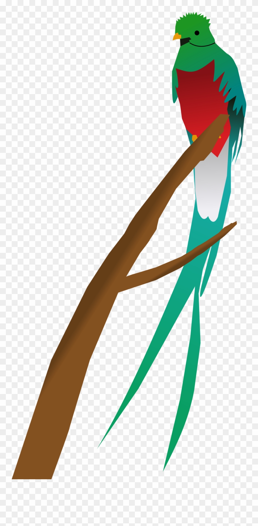 Quetzal - Quetzal Clipart - Png Download