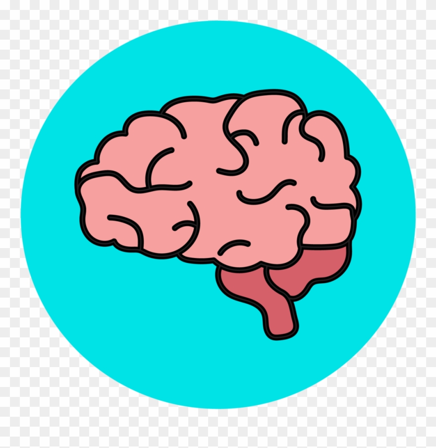 Neuropathology And Brain Bank - Human Brain Clipart