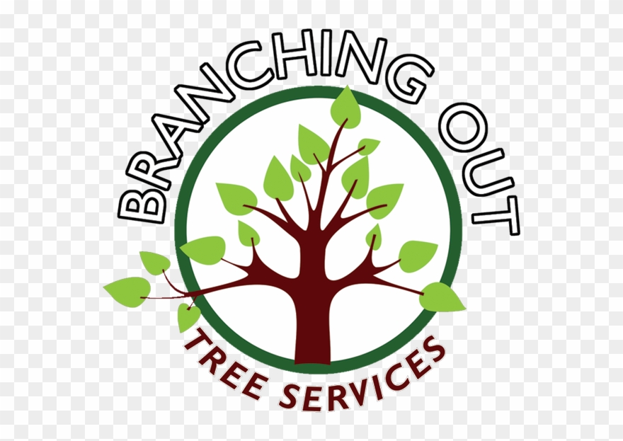 Tree Surgeon, Fencing, Landscaper In Congleton And - Branching Out Tree Services Clipart