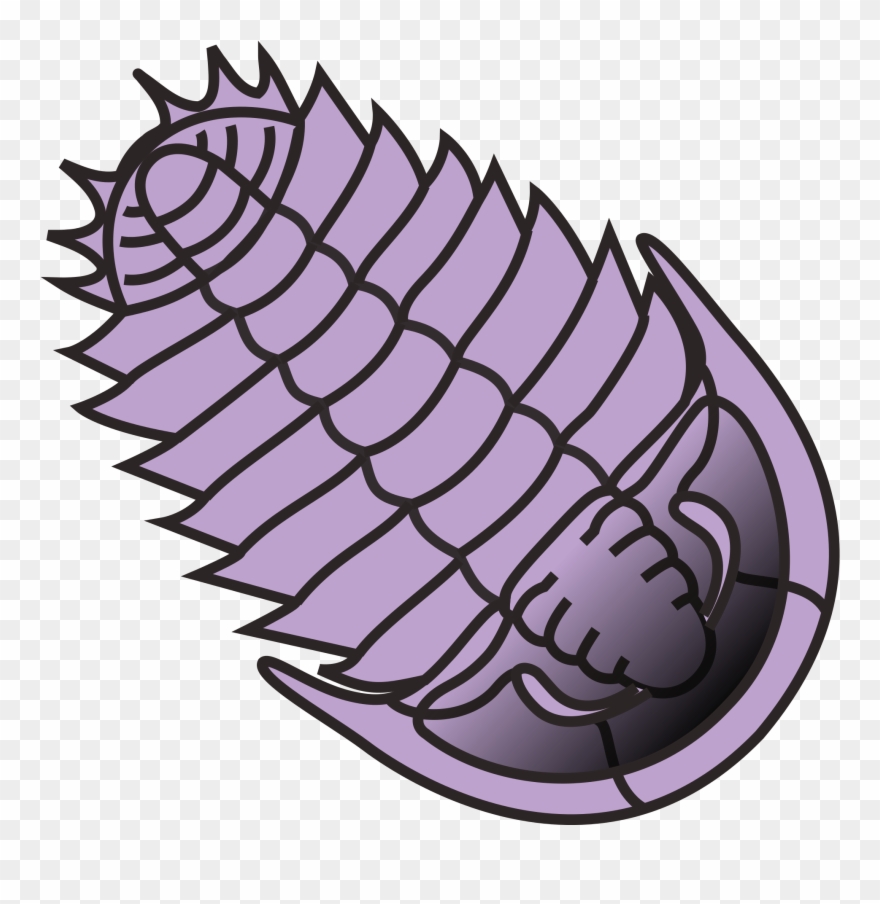 Open - Trilobite Clip Art - Png Download