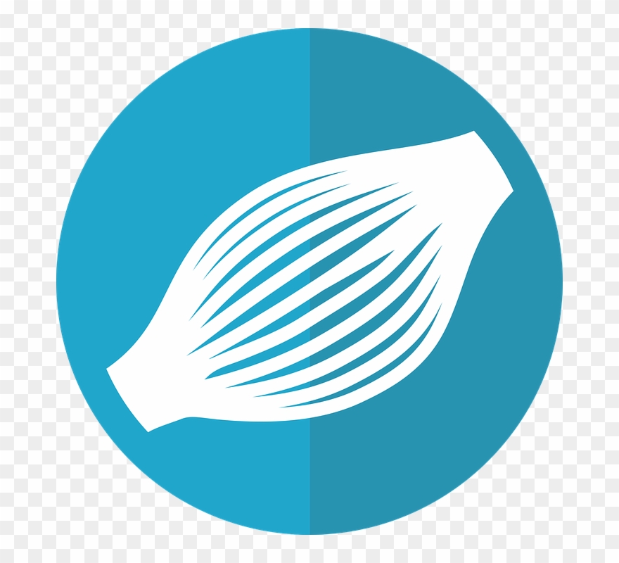 Blue Checkmark 25, Buy Clip Art - Png Download