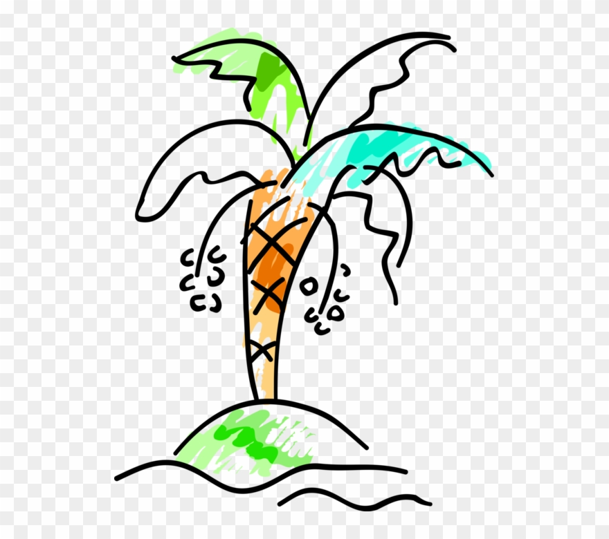 Vector Illustration Of Arecaceae Palm Tree With Coconuts Clipart