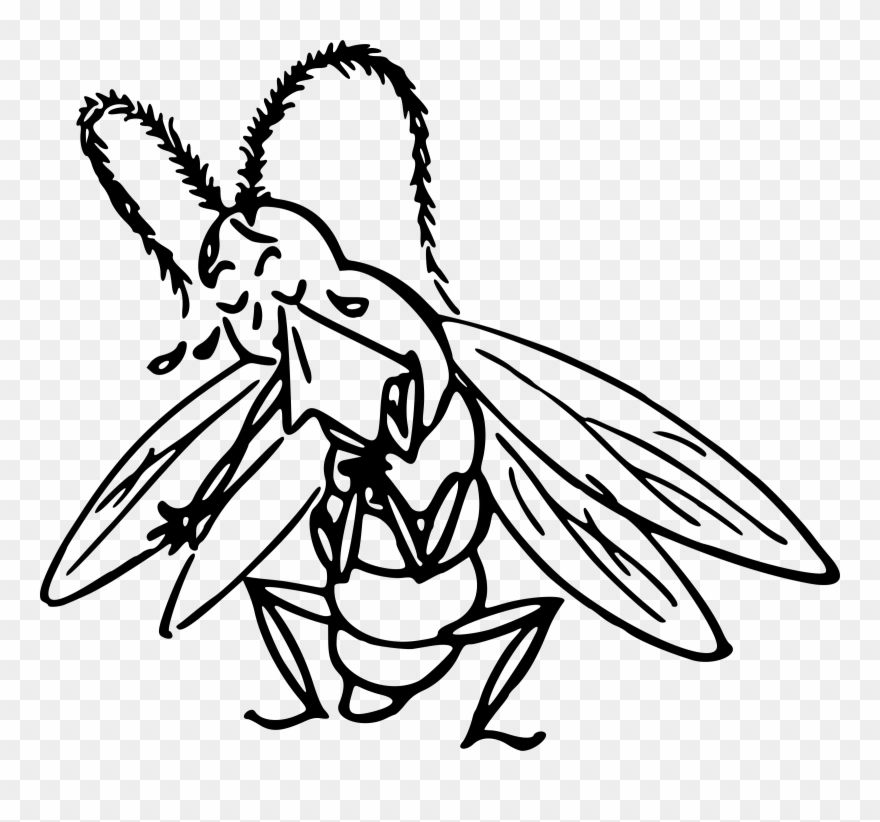 Coloring Clipart Insect - Ağlayan Böcek - Png Download