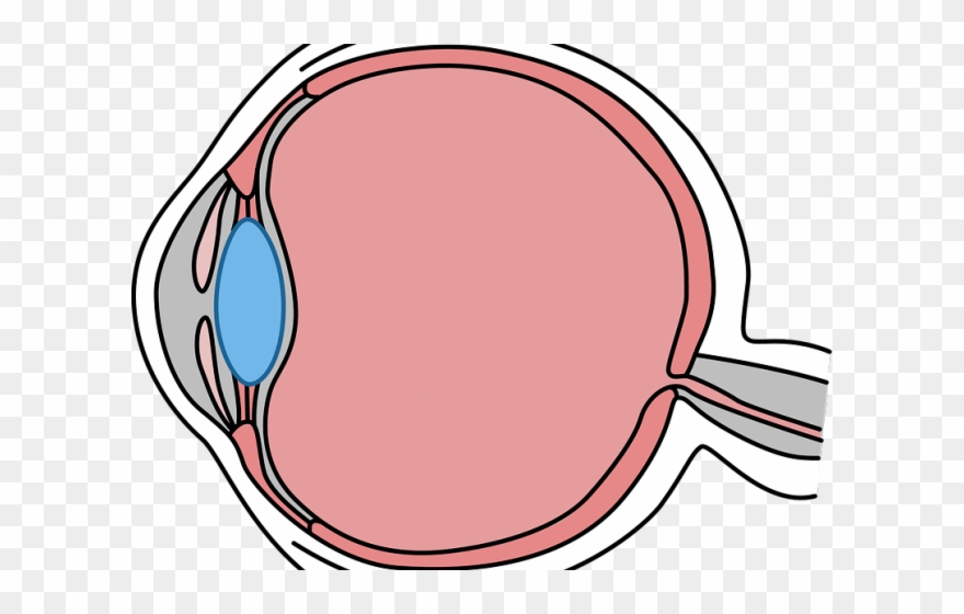 Eyeball Clipart Vision Loss - Cosas De Color Naranja - Png Download