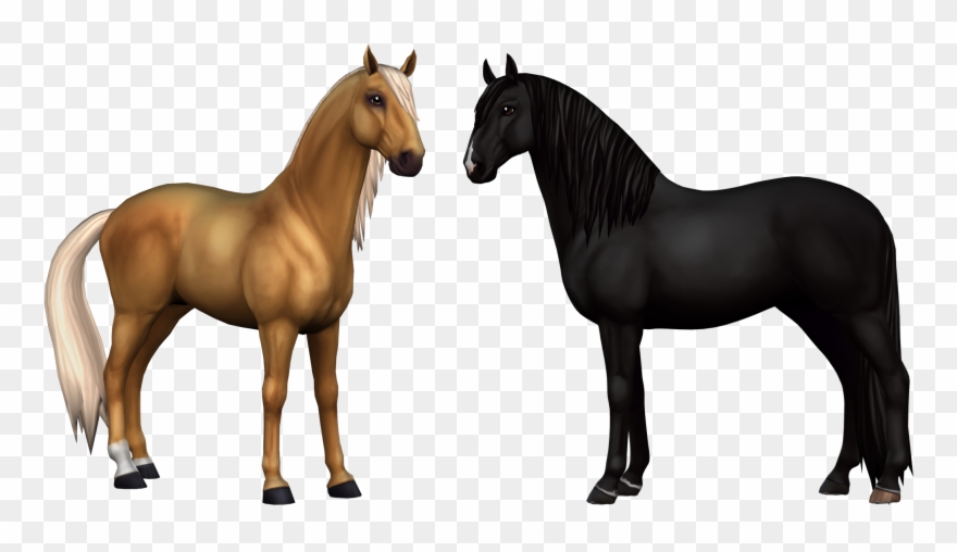 Click The Links To Download The Resources - Star Stable Horse Transparent Clipart