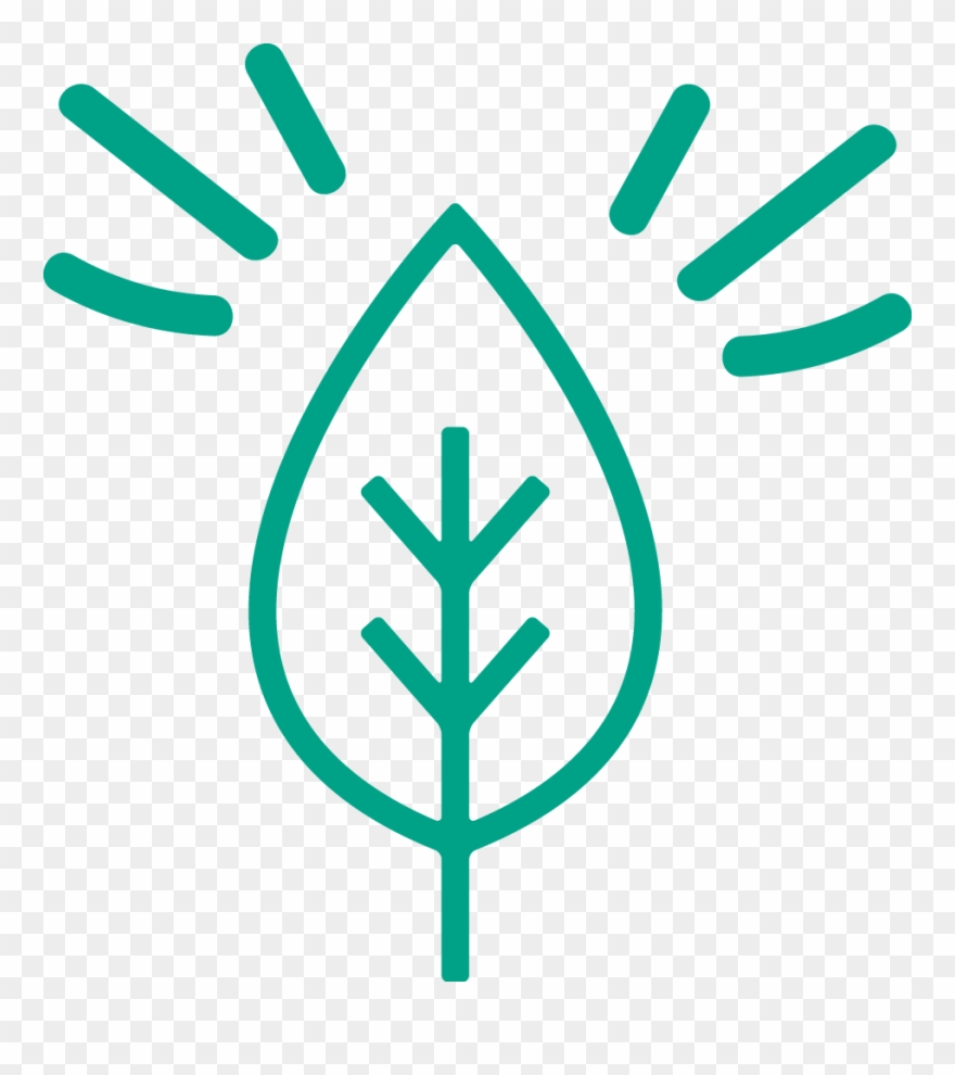 Sustainability Icon - Bio Line Icon Clipart