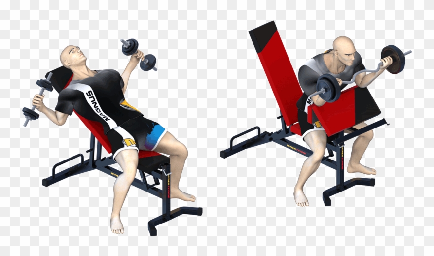Killer Chest Workout On Magnus Design Bench - Biceps Curl Clipart