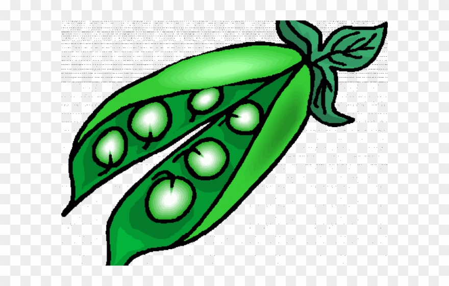 Pea Clipart Pea Plant - Clip Art Of Peas - Png Download