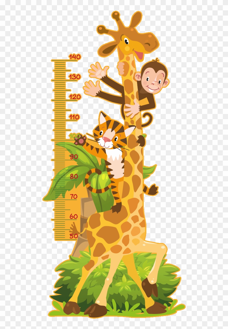 Sticker Toise Girafe Singe Et Petit Tigre Ambiance Clipart