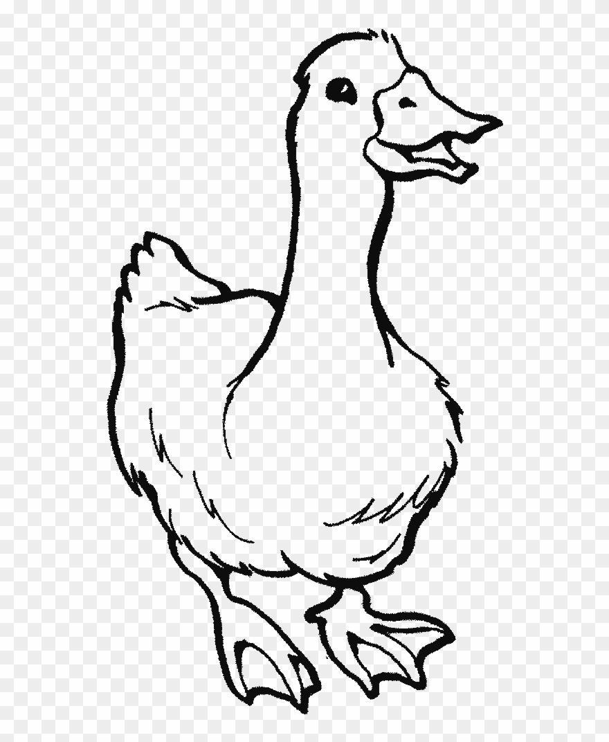 On The Farm - Farm Animals Coloring Duck Clipart