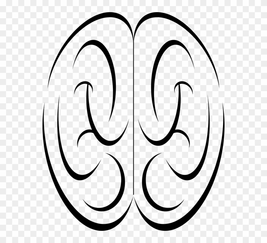 Brain Drawing Cliparts 25, Buy Clip Art - Png Download