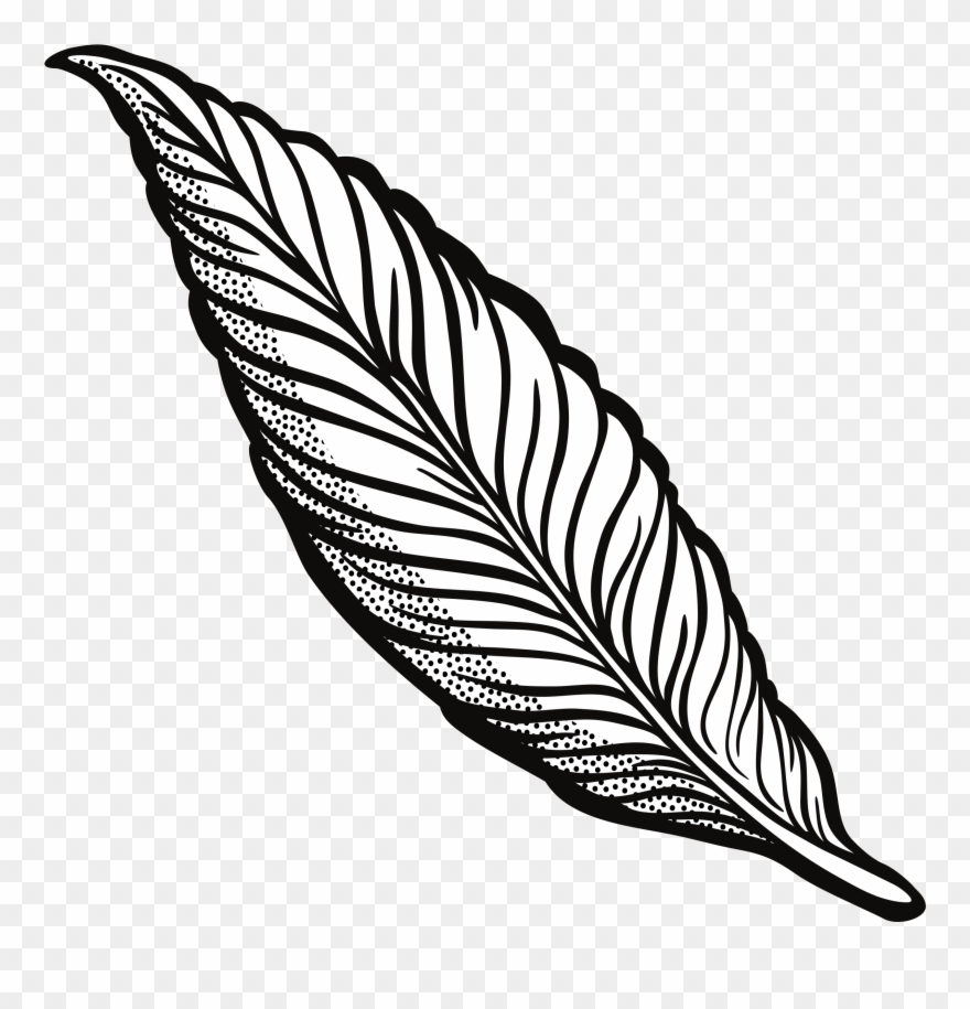 Turkey Feather Clipart Transparent Download Outline - Feather Clipart Transparent - Png Download