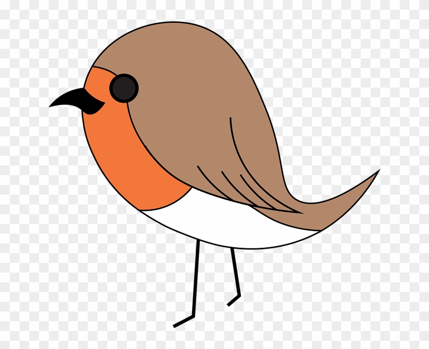 Bird Vector Art 8, Buy Clip Art - Png Download