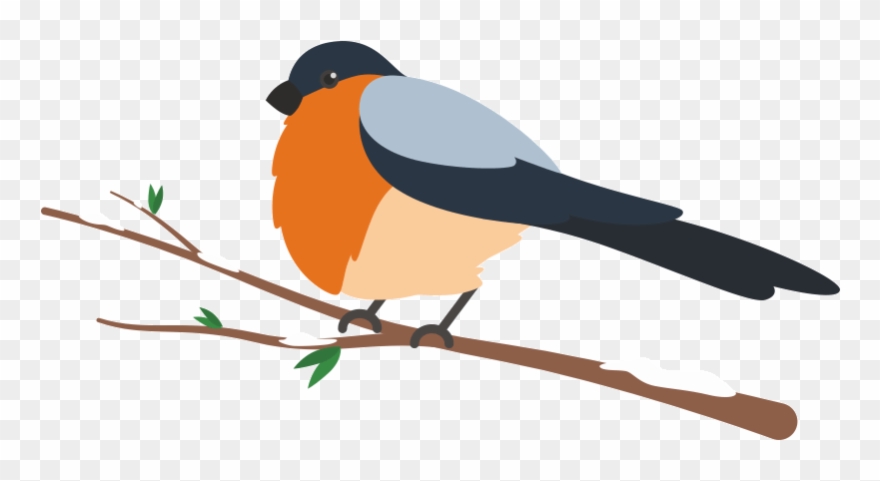 Old World Flycatcher Clipart