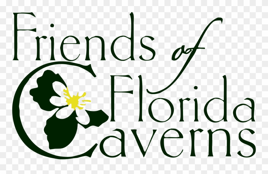 Friends Of Florida Caverns Logo - Calligraphy Clipart