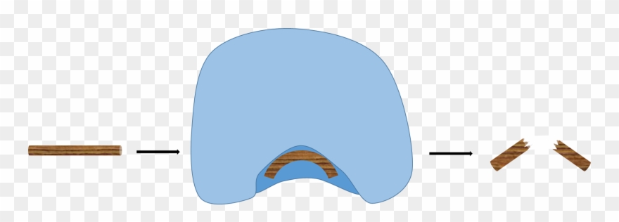 Proteins At Work Clipart