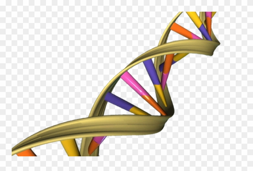 Tehtiinkö Tasan 65 Vuotta Sitten Viime Vuosisadan Merkittävin - Dna Double Helix Clipart