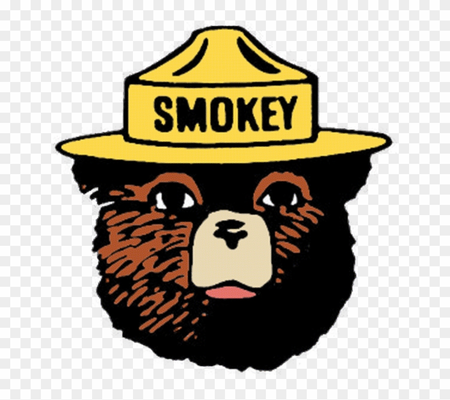 Smokey The Bear Clipart Smokey Bear Pillow Duvet - Smokey The Bear Resist - Png Download