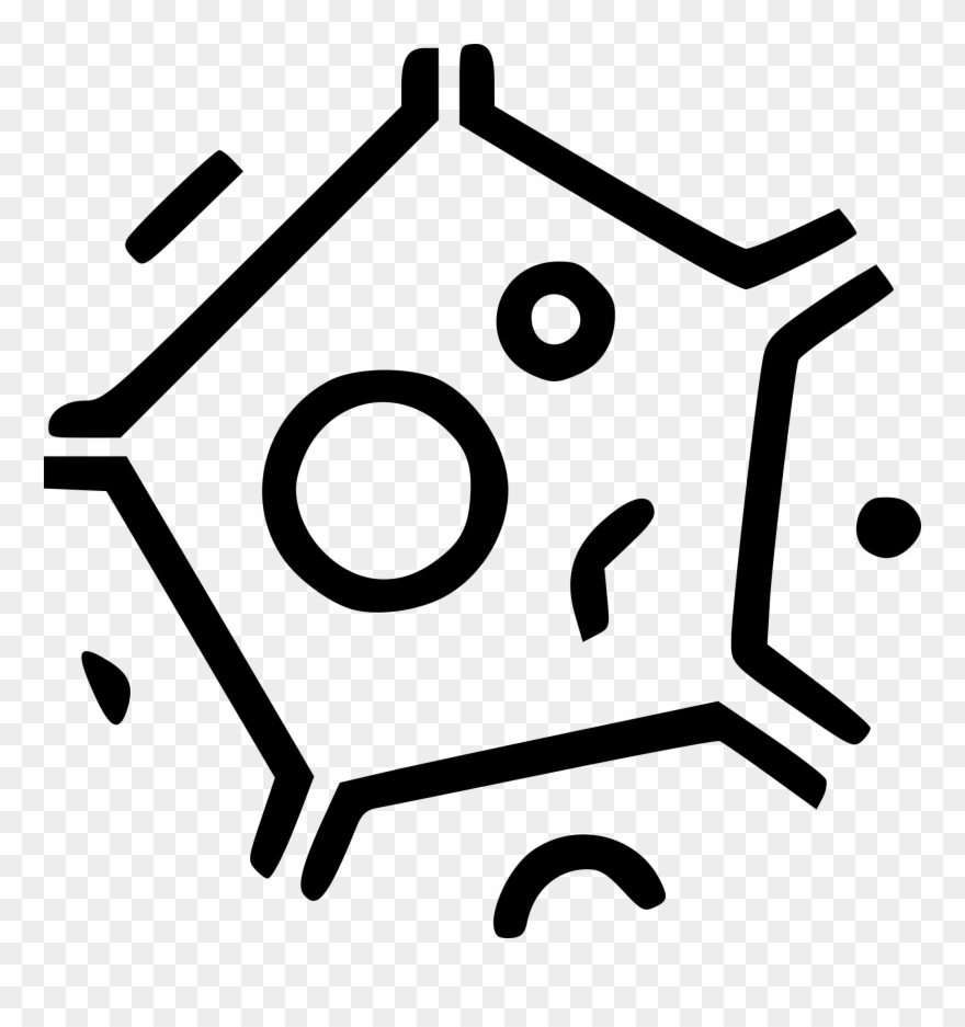 Second Vinyl Of Evolution - Biology Clipart