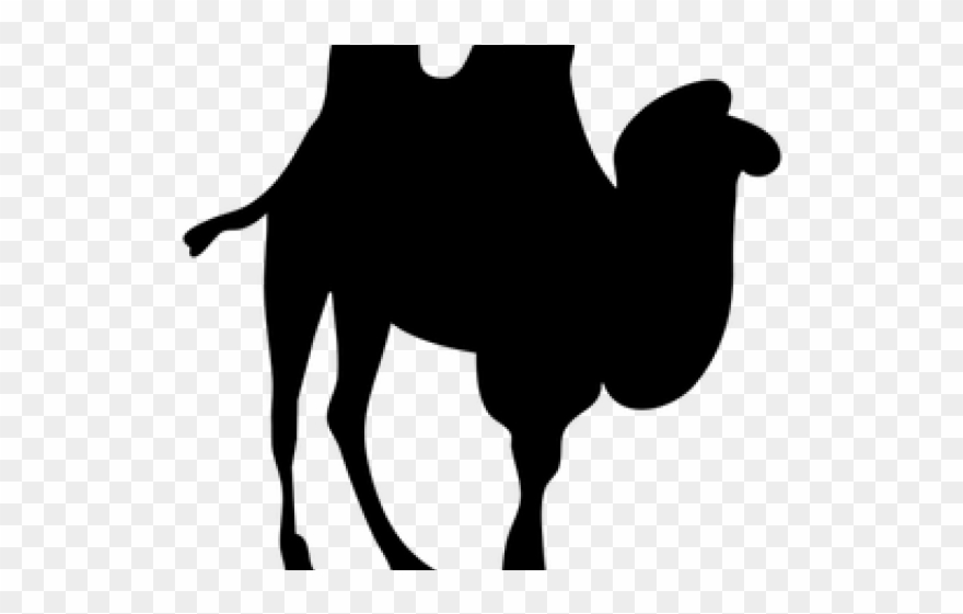 Footprint Clipart Camel - Custom Brown Camel Silhouette Shower Curtain - Png Download