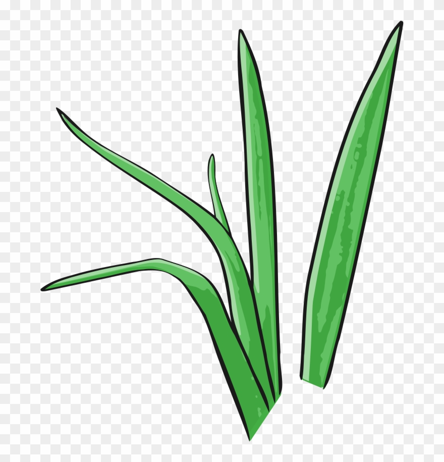 Green Grass Vector Grass Vector, Royalty Free Clipart, - Illustration - Png Download