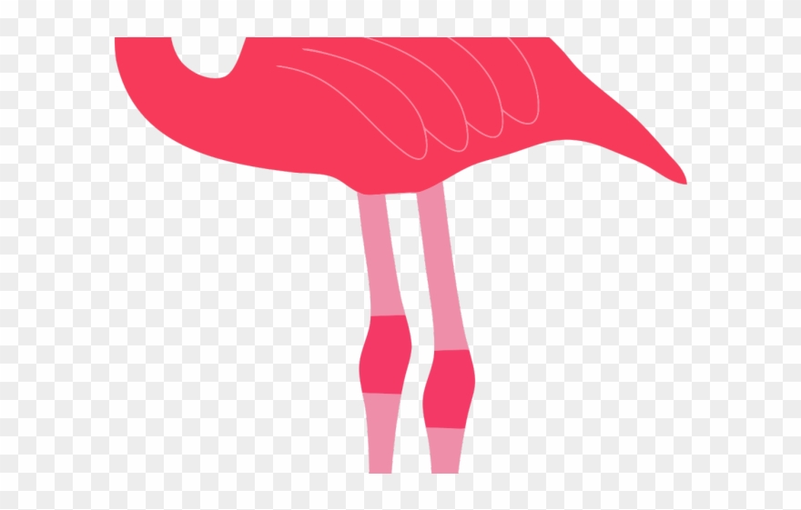 Flamingo Clipart Transparent Background - Flamingo - Png Download
