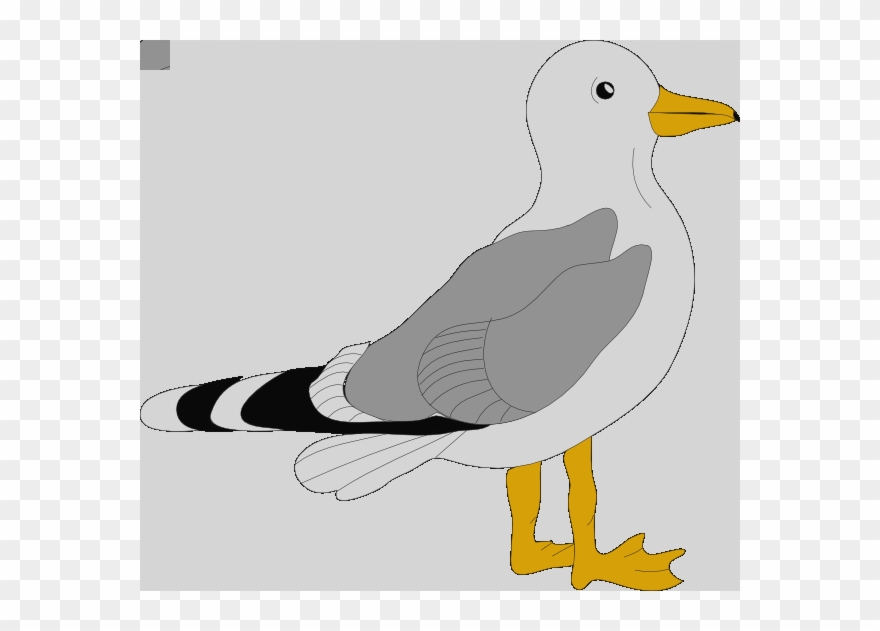 Bird Clip Art - Png Download