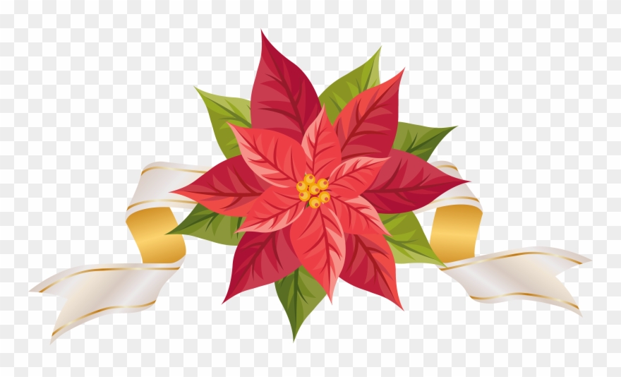 Clipart Poinsettia - Png Download
