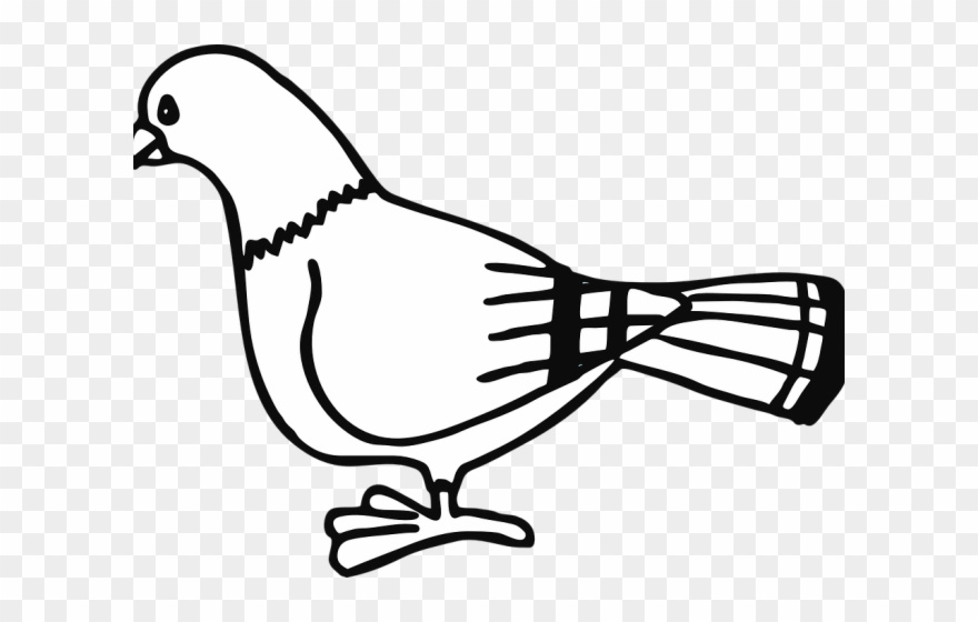 Dove Clipart Black And White - Pigeon Clip Art - Png Download