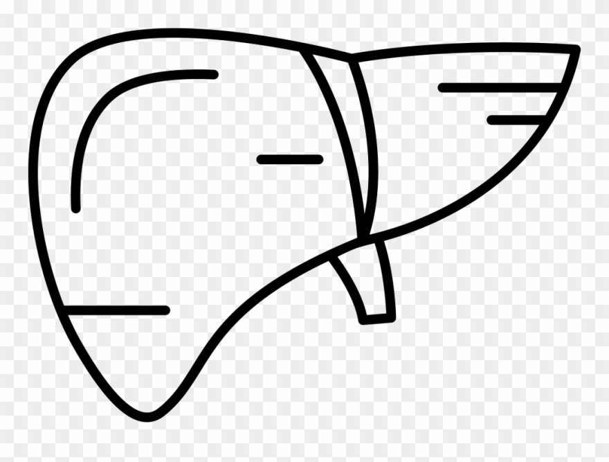 Human Drawing At Getdrawings Com Free For - Medicine Clipart