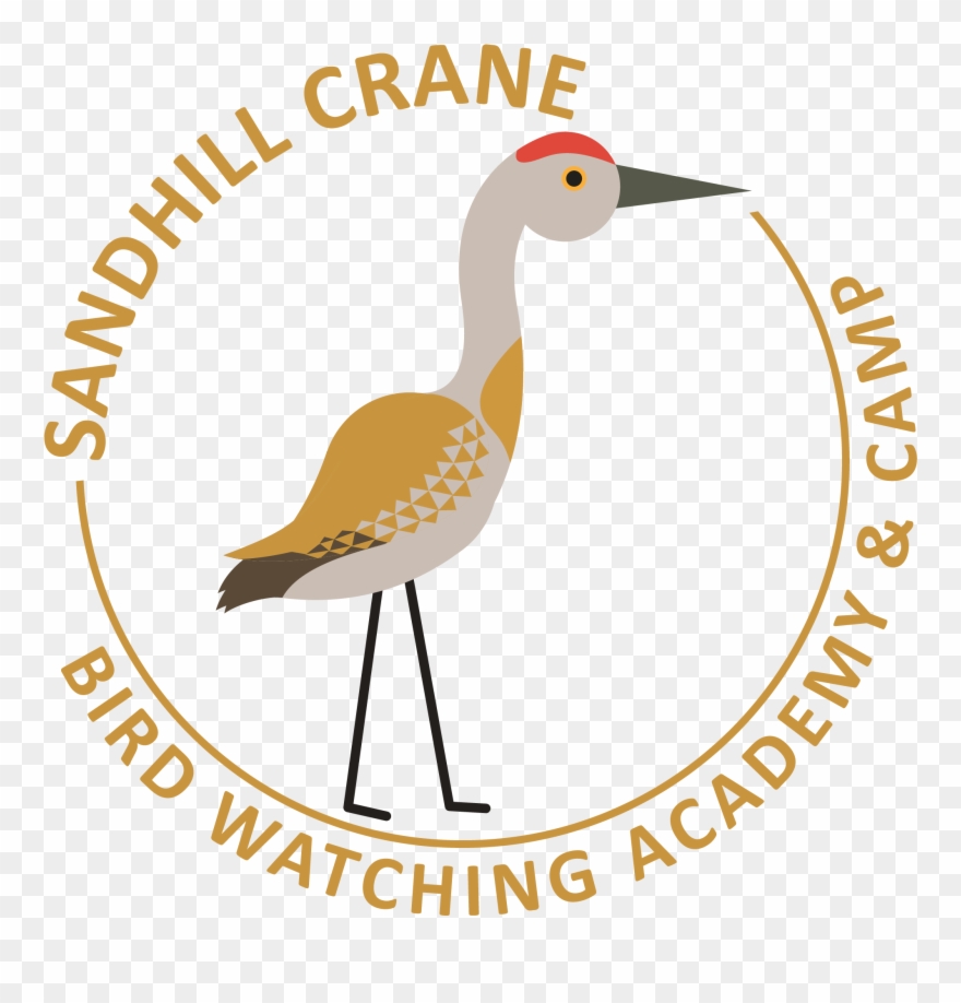 Sandhill Crane - All India Football Association Clipart