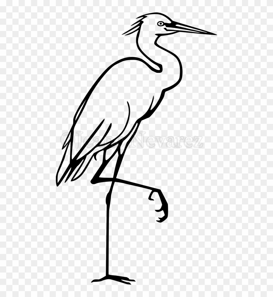 Art By Jeane Nevarez - Snowy Egret Line Art Clipart