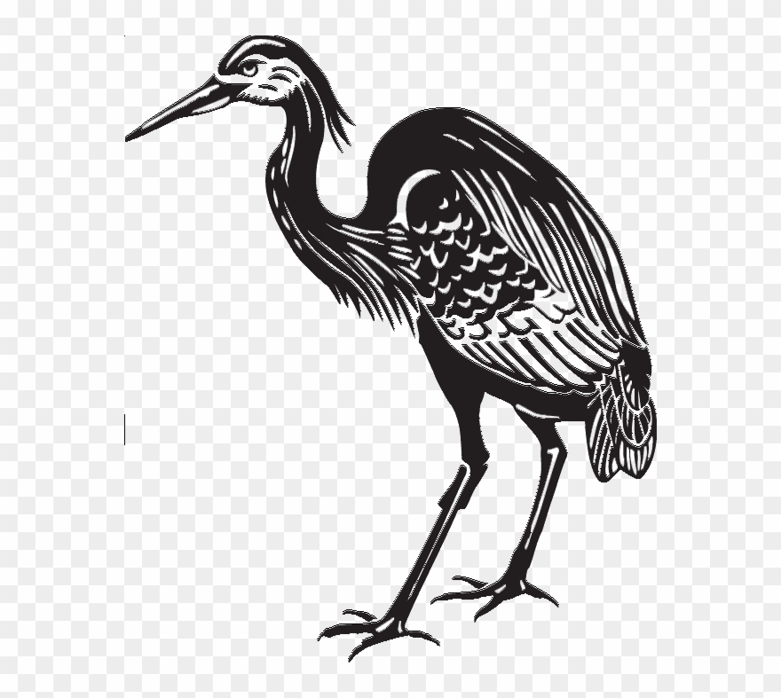 Heron Vector Great Blue Vector Freeuse Library - Heron Clip Art - Png Download