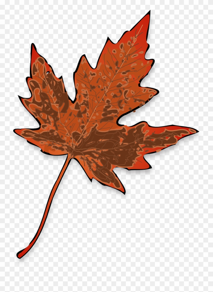 น้ำตาล เม เปิ้ ล Png Clipart Maple Leaf Clip Art - Maple Leaf Clip Art Transparent Png