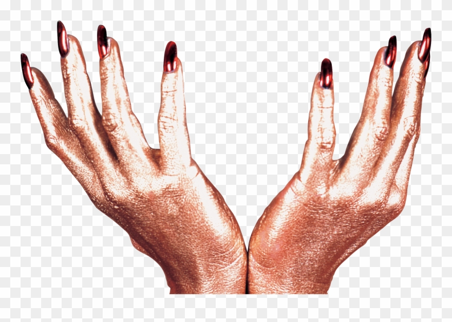 Картинка В Png - Hand Clipart