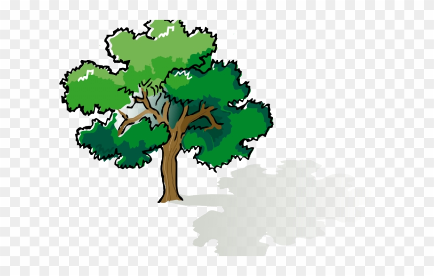 Bushes Clipart Shady Tree - Tree Clipart Png Transparent Png