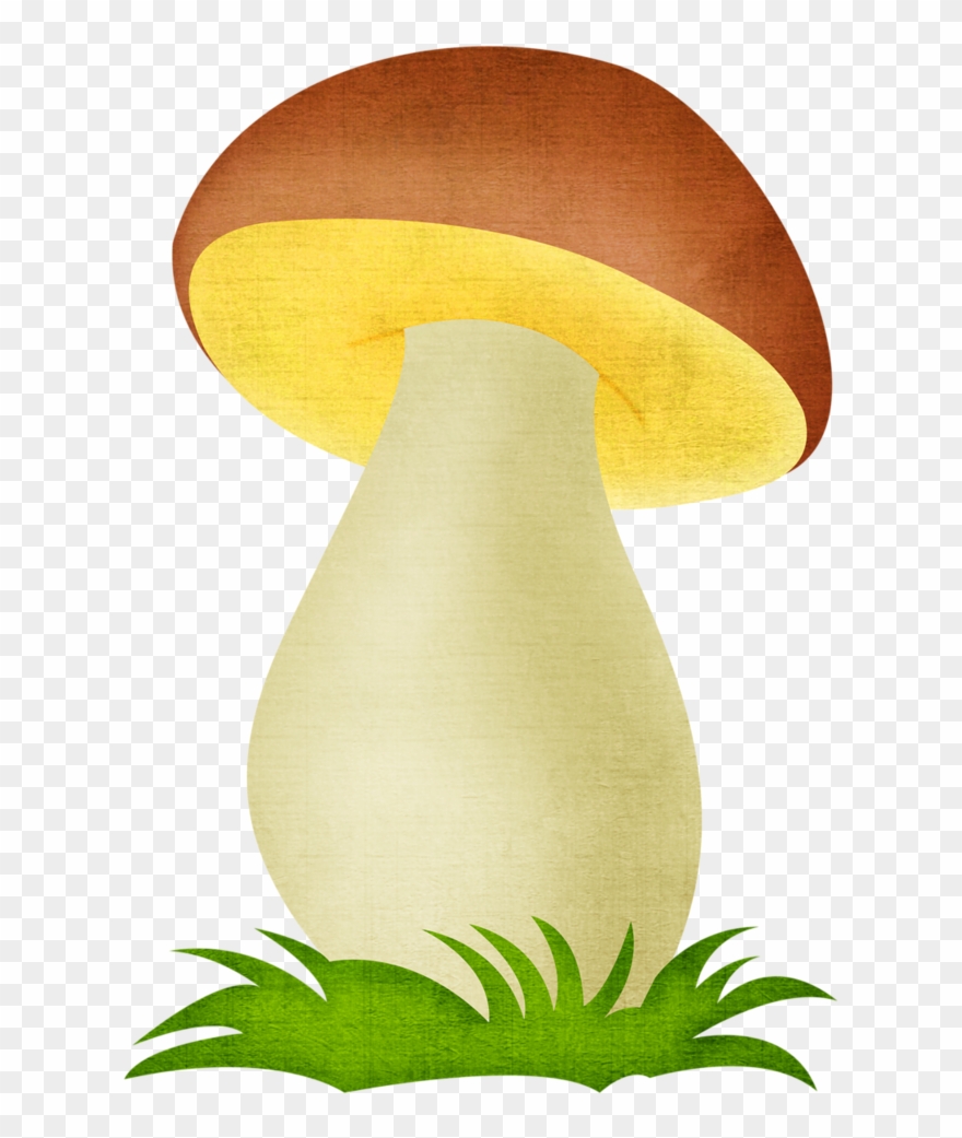 Png Album Shrooms - Edible Mushroom Clipart