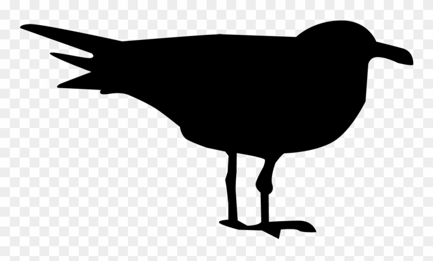 Ring-billed Gull - Ring Billed Gull Silhouette Clipart